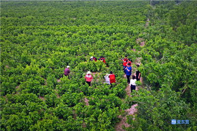 東營市新時代文藝志愿行攝影采風創(chuàng)作活動在龍居舉行